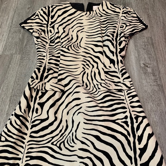 Zebra mini-dress! 🦓 animal print faux suede dress - Picture 3 of 11